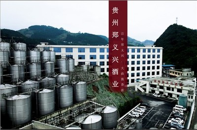 白酒中的聚宝盆,让你的事业迈向新高峰!