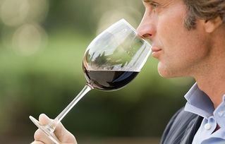 葡萄酒的三类香气