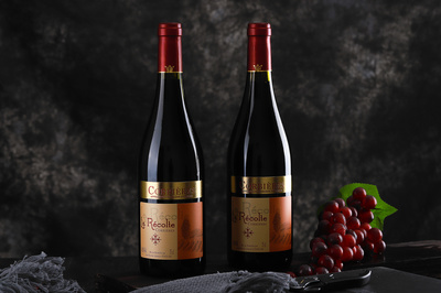 红酒 淘宝拍摄|摄影|产品|信月轩视觉工作室 