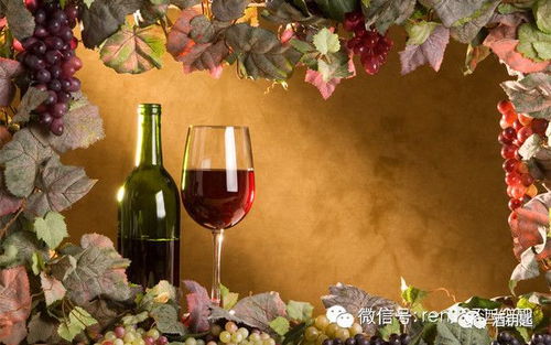 品鉴葡萄酒术语