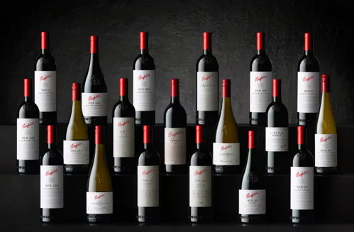 富邑计划将部分奔富从中国市场撤出 酒界新闻