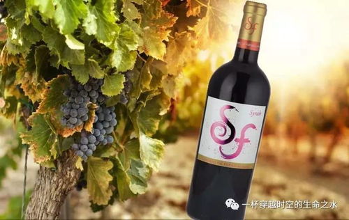 西班牙圣迪奥尼西奥红酒庄产品目录