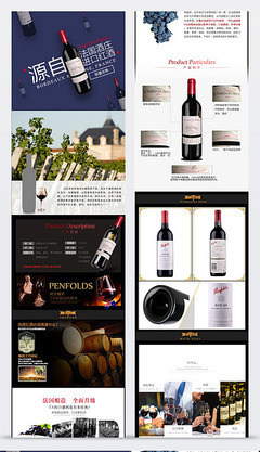 红酒的世界 从葡萄到酒杯的艺术