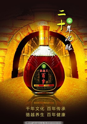 保健酒 白酒