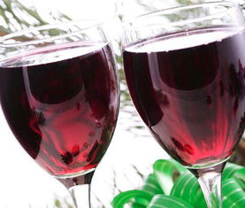 南非红酒加盟怎么样 南非红酒加盟好不好